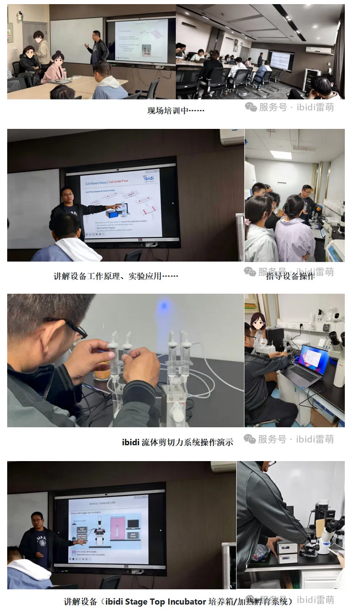 Screenshot 2025-10-24 at 13-47-42 【雷萌生物】技術(shù)賦能科研 ibidi流體剪切力系統(tǒng)&活細胞工作站裝機培訓(xùn)圓滿落幕.png